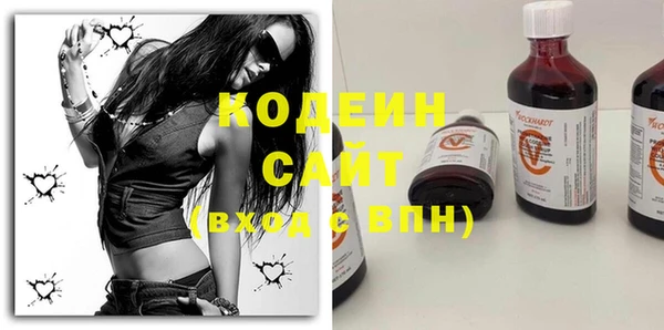 гашик Верея