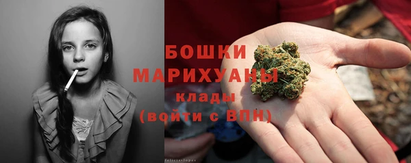 гашик Верея