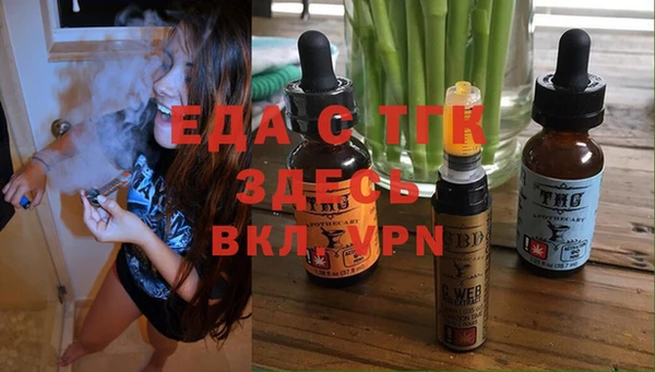 гашик Верея
