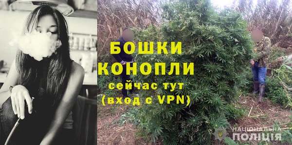 гашик Верея