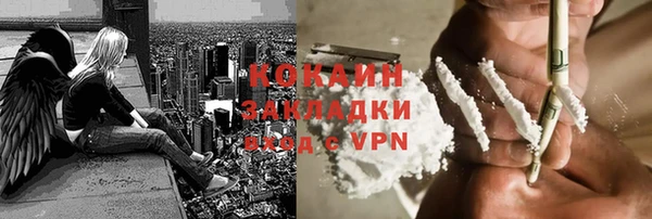 гашик Верея