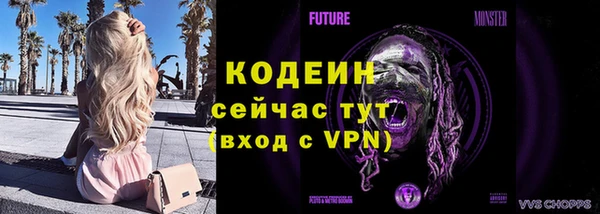 гашик Верея