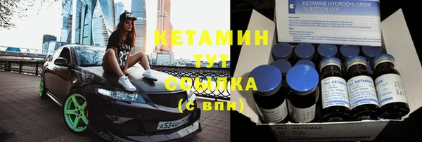 гашик Верея
