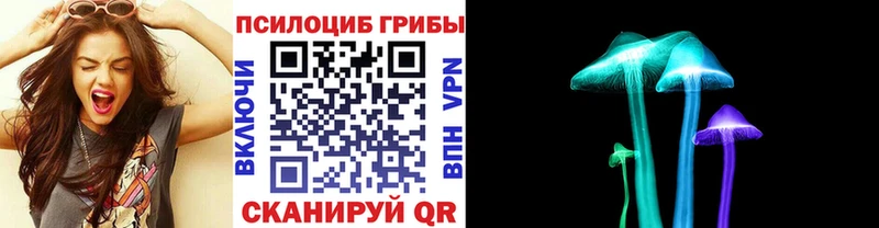 ОМГ ОМГ как войти  наркота  Киселёвск  Псилоцибиновые грибы ЛСД 